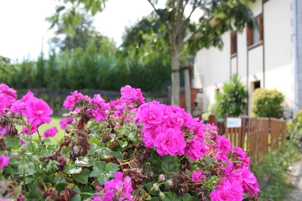 Casa Rural Zelaieta Berribi Itziar ภายนอก รูปภาพ
